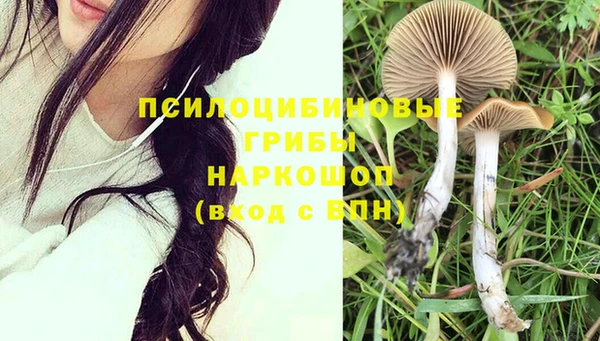 спайс Приозерск