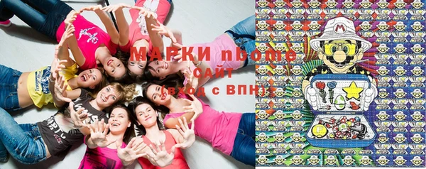 МДПВ Протвино