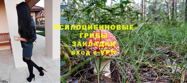 МДПВ Протвино