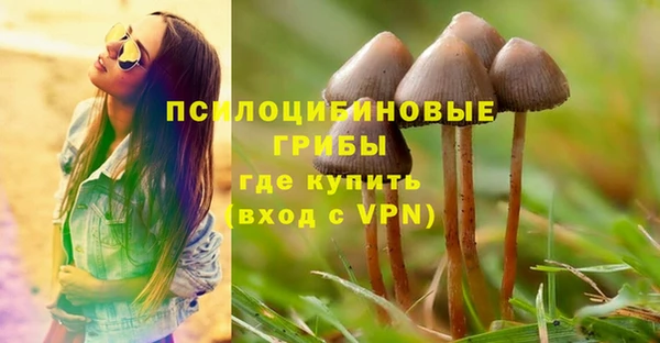 спайс Приозерск