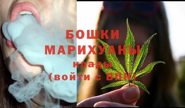 МДПВ Протвино