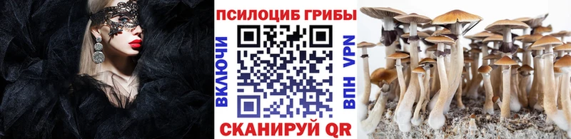 Псилоцибиновые грибы Magic Shrooms  Купить закладки  Шадринск 